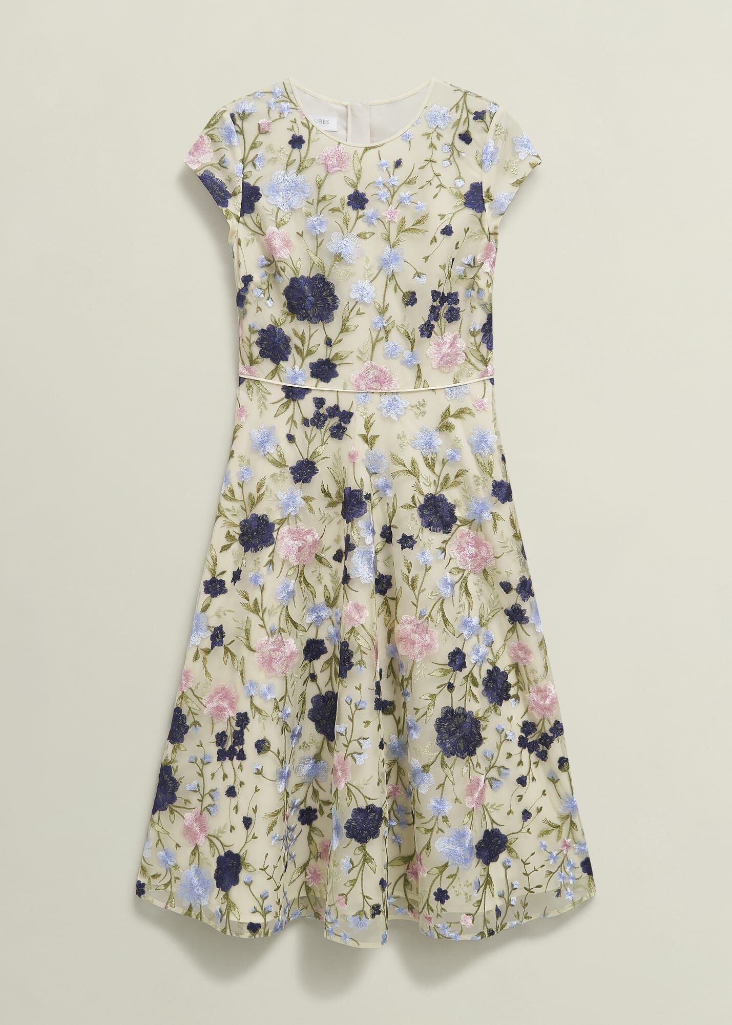 Petite Tia Embroidered Dress