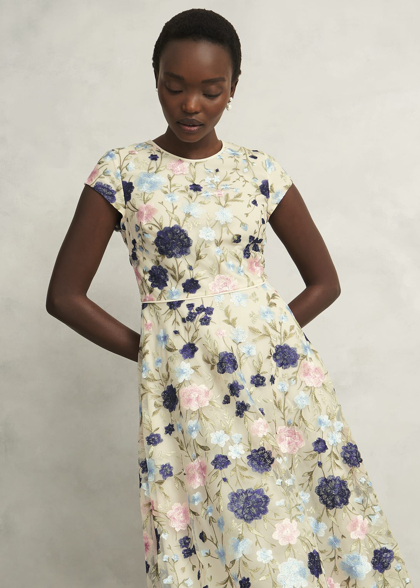 Petite Tia Embroidered Dress