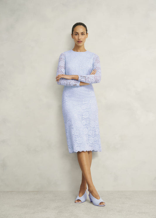Petite Ottilie Lace Sequin Dress