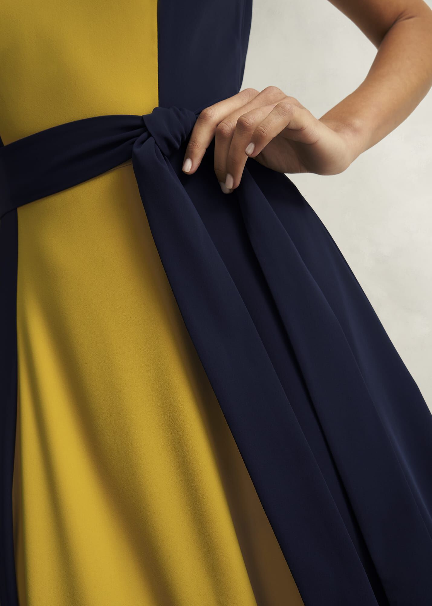 Petite Emery Tie Belted Dress