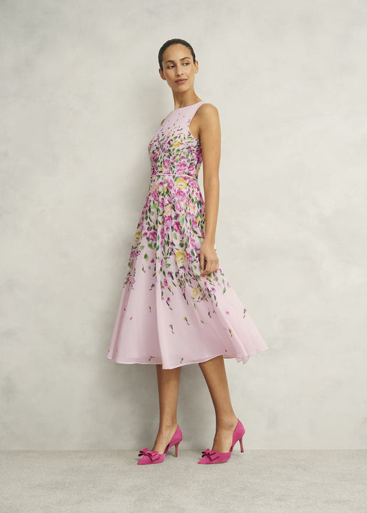 Petite Carly Dress