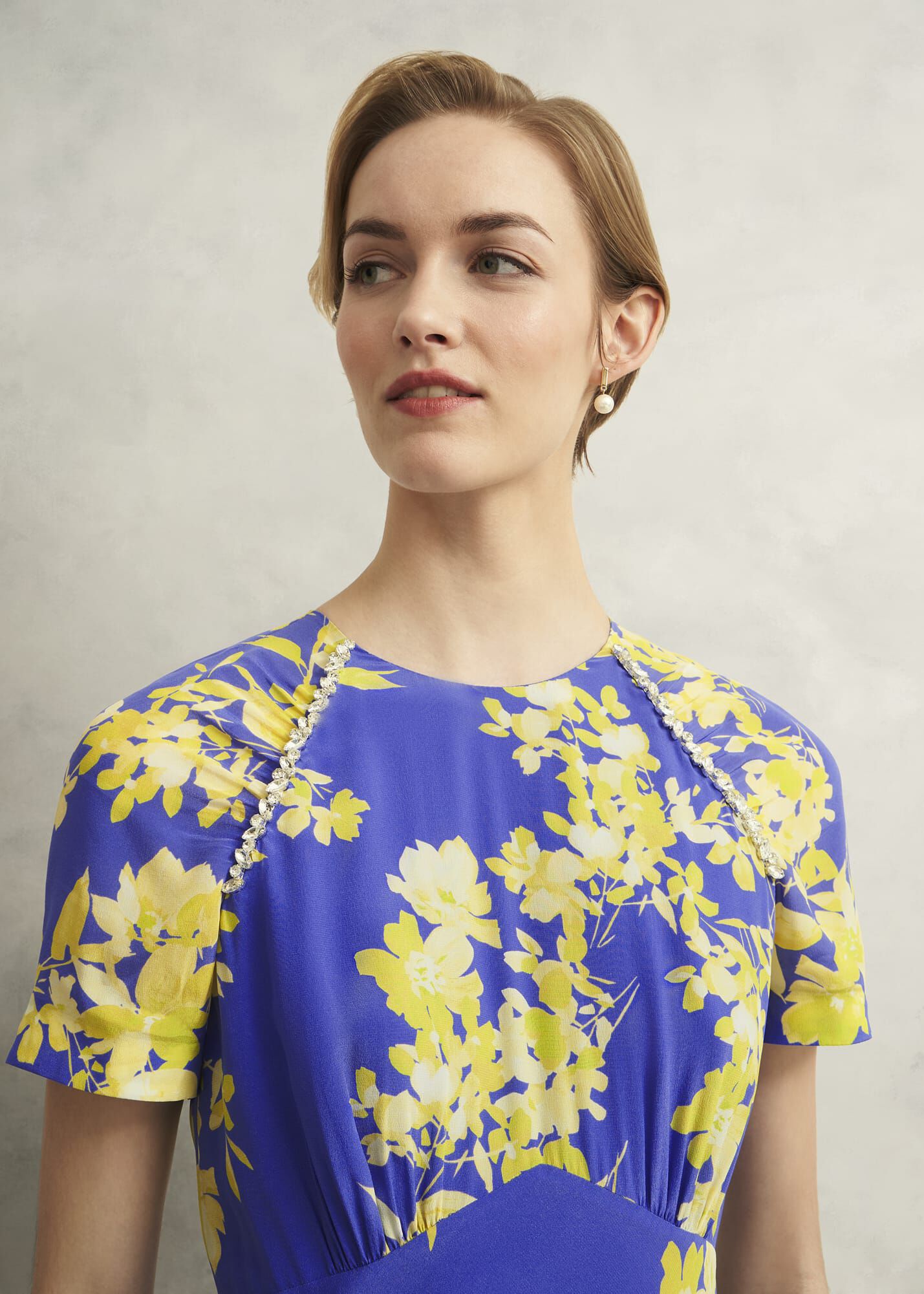 Petite Ann Embellished Silk Dress