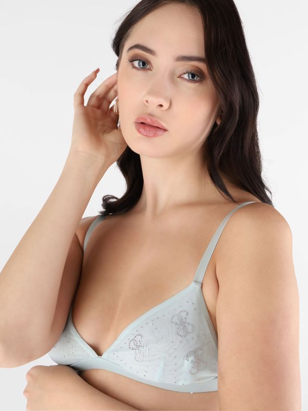 Set Guess Taylor